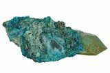 Botryoidal Chrysocolla on Quartz Crystal - Tentadora Mine, Peru #169261-1